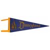 Image 1 : Disneyland Castle Pennant.