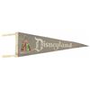 Image 1 : Disneyland Castle Pennant.