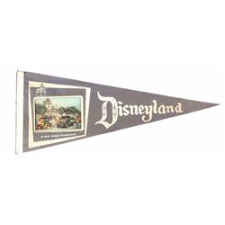 Disneyland 3-D Photo Pennant.