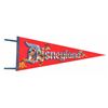Image 1 : Disneyland Pennant.