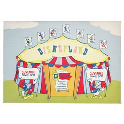 Disneyland Juvenile Towel Set.