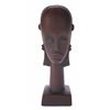 Image 1 : Randotti “Baoule” Tiki Bust.