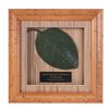 Image 1 : "Swiss Family Treehouse" Leaf Prop.