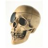 Image 2 : Randotti “Large Pirate Skull”, Type 1.