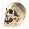 Image 2 : Randotti Haunted Mansion “Medium Size Skull", Type 2.