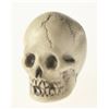 Image 1 : Randotti Haunted Mansion “Small Size Skull", Type 1.
