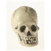 Image 7 : Randotti Haunted Mansion “Small Size Skull", Type 1.