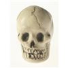 Image 8 : Randotti Haunted Mansion “Small Size Skull", Type 1.
