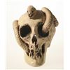 Image 10 : Randotti Haunted Mansion “Large Skull with Snake”, Type 2.