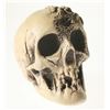 Image 1 : Randotti Haunted Mansion “Spider Skull”, Type 2.