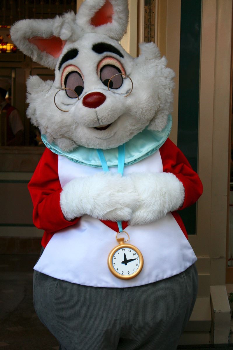 White Rabbit Prop