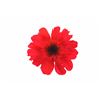 Image 1 : "Alice in Wonderland" Flower Prop.