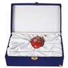 Image 2 : Snow White VIP Apple Gift.