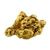 Image 1 : 18.7 Gram Gold Nugget