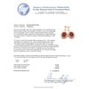 Image 3 : 14KT Yellow Gold 22.54ctw Ruby and Diamond Earrings