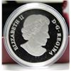 Image 2 : 2014 Canada $15 Fine Silver Coin - Maple of Longevity