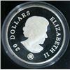 Image 2 : 2007 Canada $20 Fine Silver Coin Crystal Snowflake