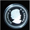 Image 2 : 2013 Canada $20 Fine Silver Coin: J.E.H MacDonald - Sumacs