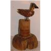 Image 1 : bird created with a natural accorn - oiseau gland naturel