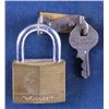 Image 8 : Master Padlock Advertising Display