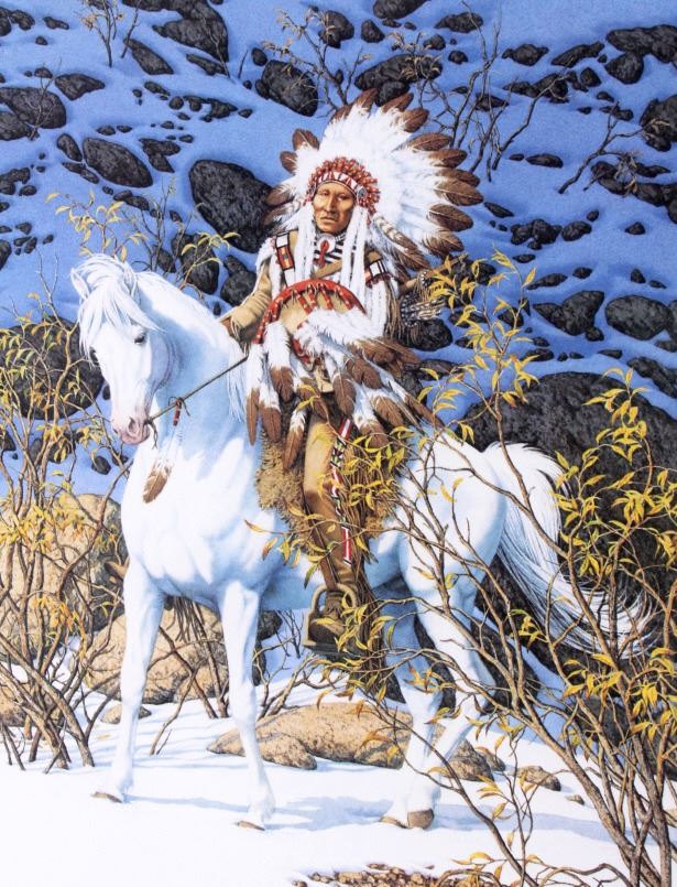 Bev Doolittle Framed Print