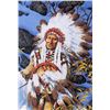 Image 4 : Bev Doolittle Framed Print