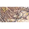 Image 5 : Bev Doolittle Framed Print
