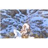 Image 6 : Bev Doolittle Framed Print