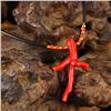 Image 2 : Beautiful Chinese Red Coral Lucky Necklace
