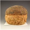 Image 1 : Vintage Egg Fossil Statue
