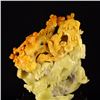 Image 5 : Superb Chinese Natural Shoushan Stone Statue - Magpie & Plum Flower w Certificate