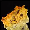 Image 6 : Superb Chinese Natural Shoushan Stone Statue - Magpie & Plum Flower w Certificate