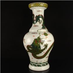 Chinese Wu Cai Porcelain Vase