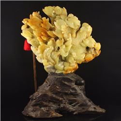 Chinese Shoushan Stone Statue - Ropical Fishes W Certificate