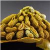 Image 8 : Superb Chinese Shoushan Stone Statue - Peanuts & Grapes