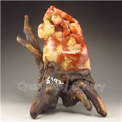 Chinese Shoushan Stone Statue w Cicada