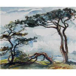 Windswept Trees