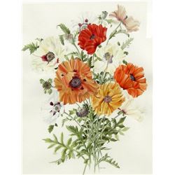 Poppies