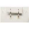 Image 2 : #33-14KT GOLD DIAMOND EARRINGS