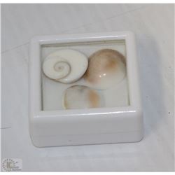 TRP269) NATURAL SHIVA'S EYE 3PCS 25CT