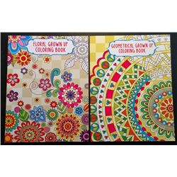 LOT OF 2 ADULT COLORING BOOKS