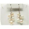 Image 1 : #8-10K WHITE GOLD FRESHWATER PEARL EARRINGS