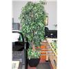 Image 1 : LARGE 6' ARTIFICIAL FLOOR PLANT