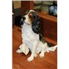 Image 1 : 10" VINTAGE MADE IN ITALY COCKER SPANIEL SCULPTUR