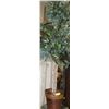 Image 1 : 7 FOOT TALL SILK FIG TREE WITH REAL WOOD POT