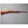 Image 1 : Mossberg; 350K;  .22 S-L-LR; Semi Auto; Clip