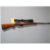 Image 1 : CZ; 527; .223 rem; Bolt; Clip; Tasco 6-24 x 40 scope