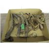 Image 1 : LOT 8 TRAPS