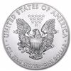 Image 3 : 2016 1 oz Silver Eagles (20-Coin MintDirect® Premier Tube) 20 OZ TOTAL