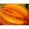 Image 8 : Latin American Art Fernando Montoya Realism Vegetables on Canvas Original